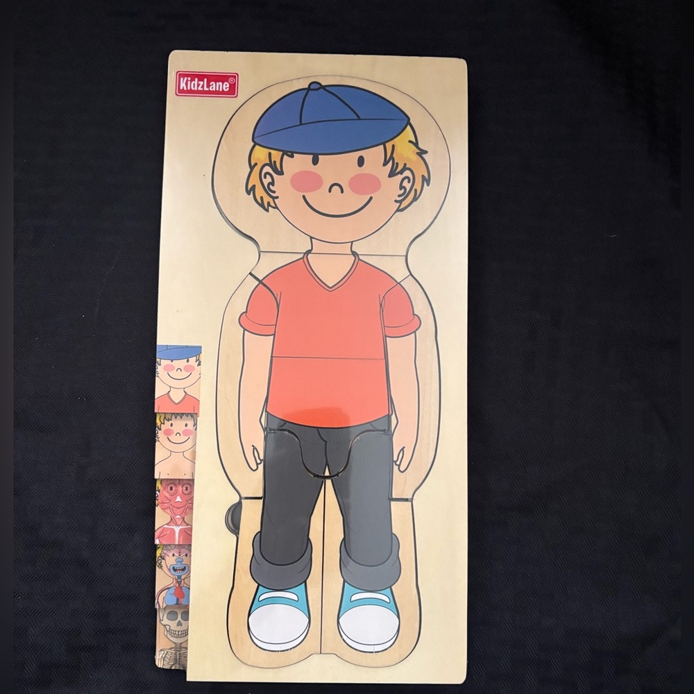 Boy Anatomy Puzzle - Picture 2 of 8